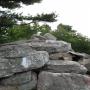 ./10_photos/2010-06-22 08.40.12.jpg